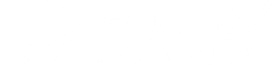 GDMonkey